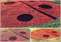 /album/galleria-fotografica/paese-di-gertrude1-jpg/